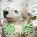 狼たちのあしあと
